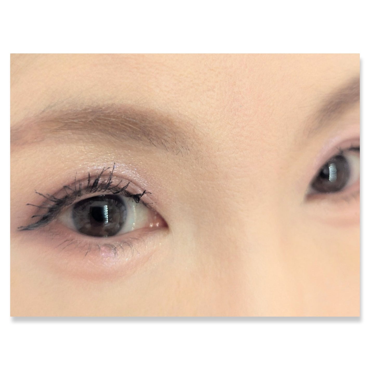 キス ズームアイポーション/KiSS/アイシャドウパレットを使ったクチコミ(2枚目)