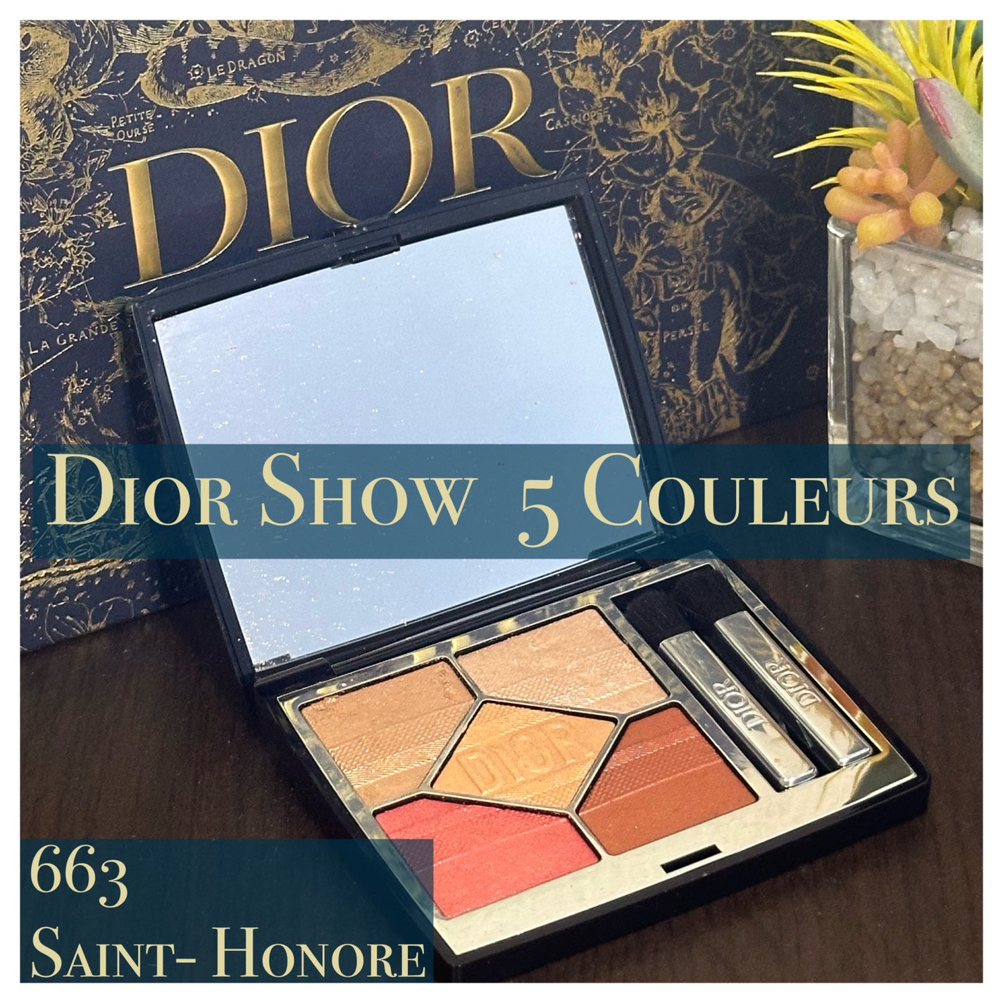 ディオールショウ サンク クルール(プラン ドゥ パリ コレクション限定品)/Dior/アイシャドウを使ったクチコミ(1枚目)