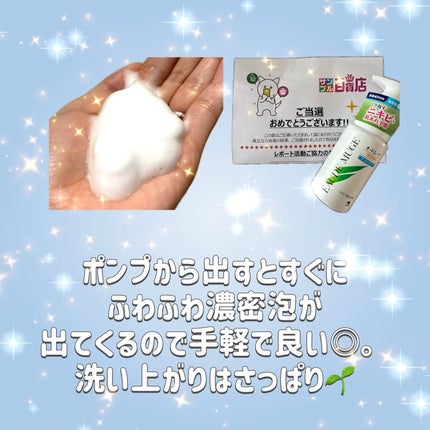 泡洗顔料 さっぱりタイプ/オードムーゲ/泡洗顔を使ったクチコミ(2枚目)