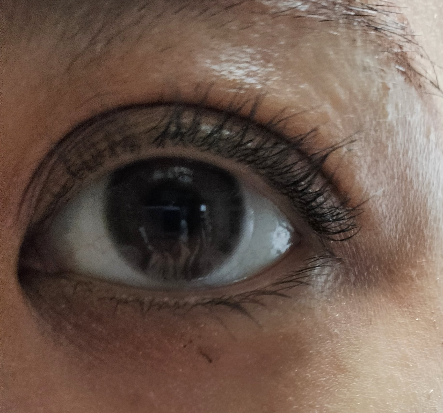 アイグロウジェム スキンシャドウ 17G autumn dazzle/DECORTÉ/ジェル・クリームアイシャドウを使ったクチコミ（3枚目）