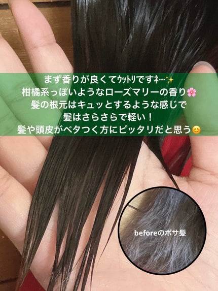 ローズマリースカルプスケーリングシャンプー 180ml/AROMATICA/市販シャンプーの画像