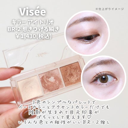 ケイト リップモンスター/KATE/口紅を使ったクチコミ(4枚目)