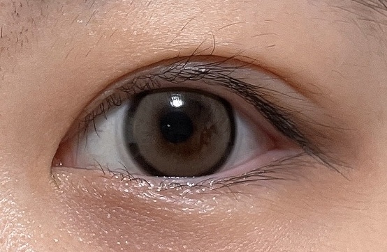 cicica 1day サーブルベージュ/cicica/ワンデー（１DAY）カラコンを使ったクチコミ（1枚目）