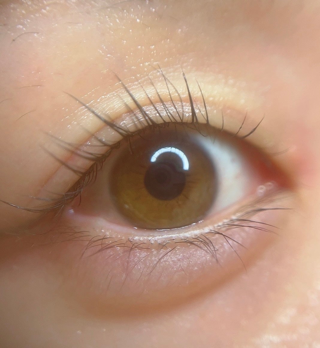 ã«ã³ã ðž on LIPS ã ãªãã¥ãŒã¢ã«ããããŸã€æ¯çŸå®¹æ¶²Â /BONNY LASHES ..ãïŒ4æç®ïŒ