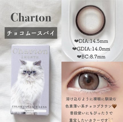 a-eye 1day/Refrear/ワンデー(1DAY)カラコンを使ったクチコミ(6枚目)