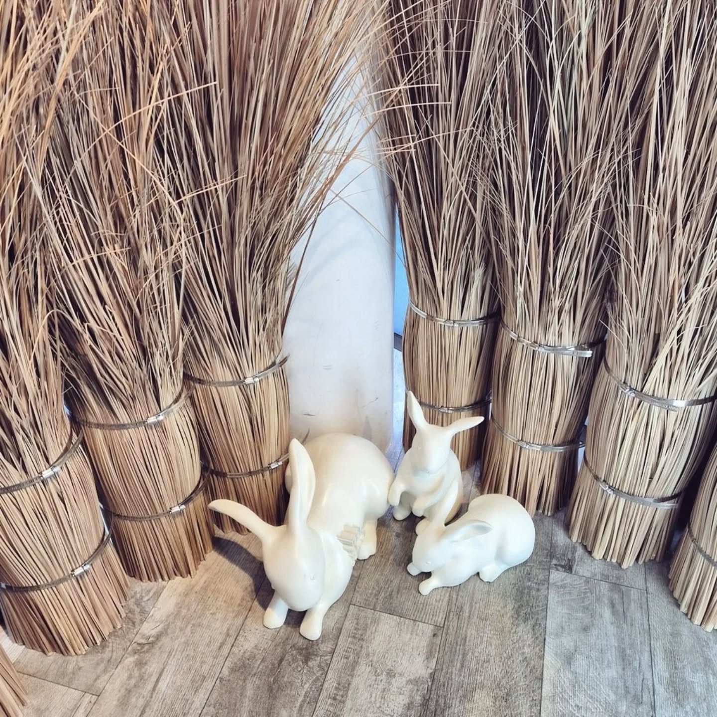 #PR #TCFS 
明日10/26(日)11〜19時半までの #toocoolforschool の #ポップアップ に行ってきたよ〜〜！✏️🩷
二階建てで #トゥークールフォースクール のシンプルおしゃれな雰囲気×ところどころにケアベ