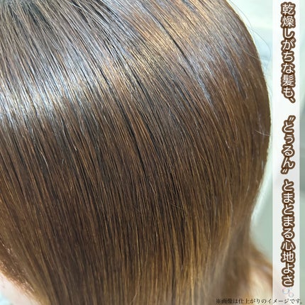 ディープレイヤー シャンプーExV/トリートメントExV 【プロフェッショナルユース】/DeepLayer/サロンシャンプーを使ったクチコミ(4枚目)