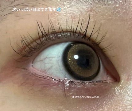 secretcandymagic 1day(シークレットキャンディーマジック)/secret candymagic/ワンデー(1DAY)カラコンを使ったクチコミ(4枚目)