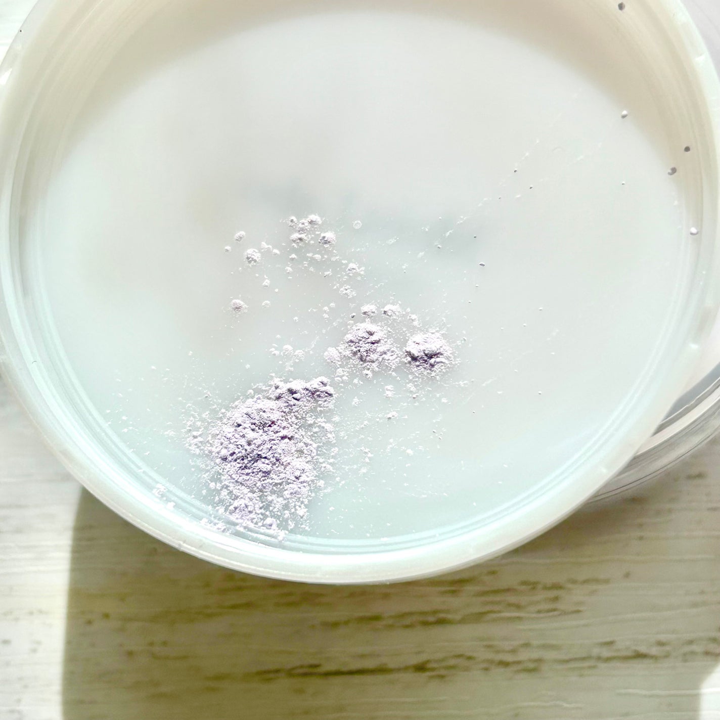 モイストラボ ルースパウダー〈くすみ防止タイプ〉/Moist Labo/ルースパウダーを使ったクチコミ(4枚目)
