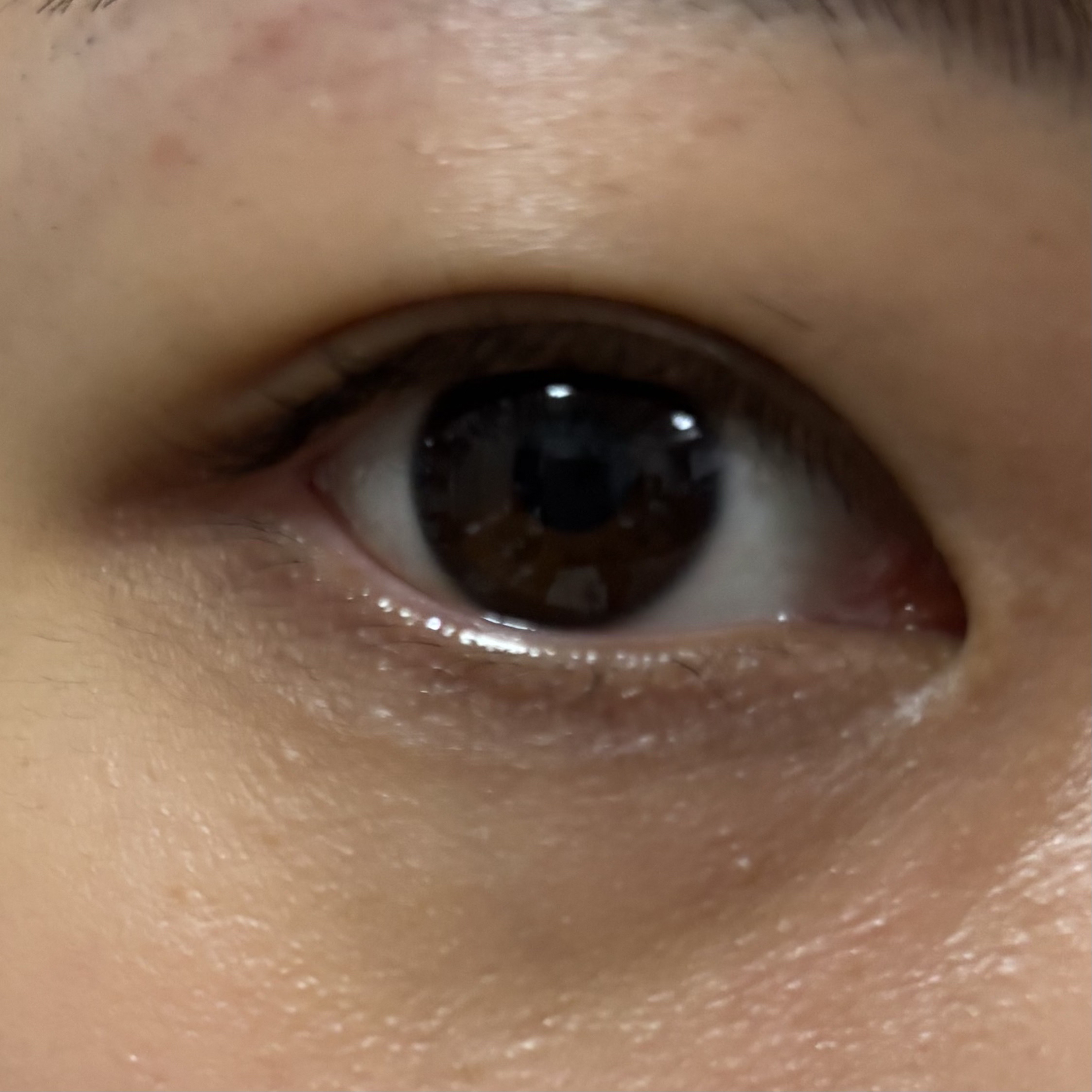 イージーアイラッシュリフトキット/COSNORI/その他キットセットを使ったクチコミ（2枚目）