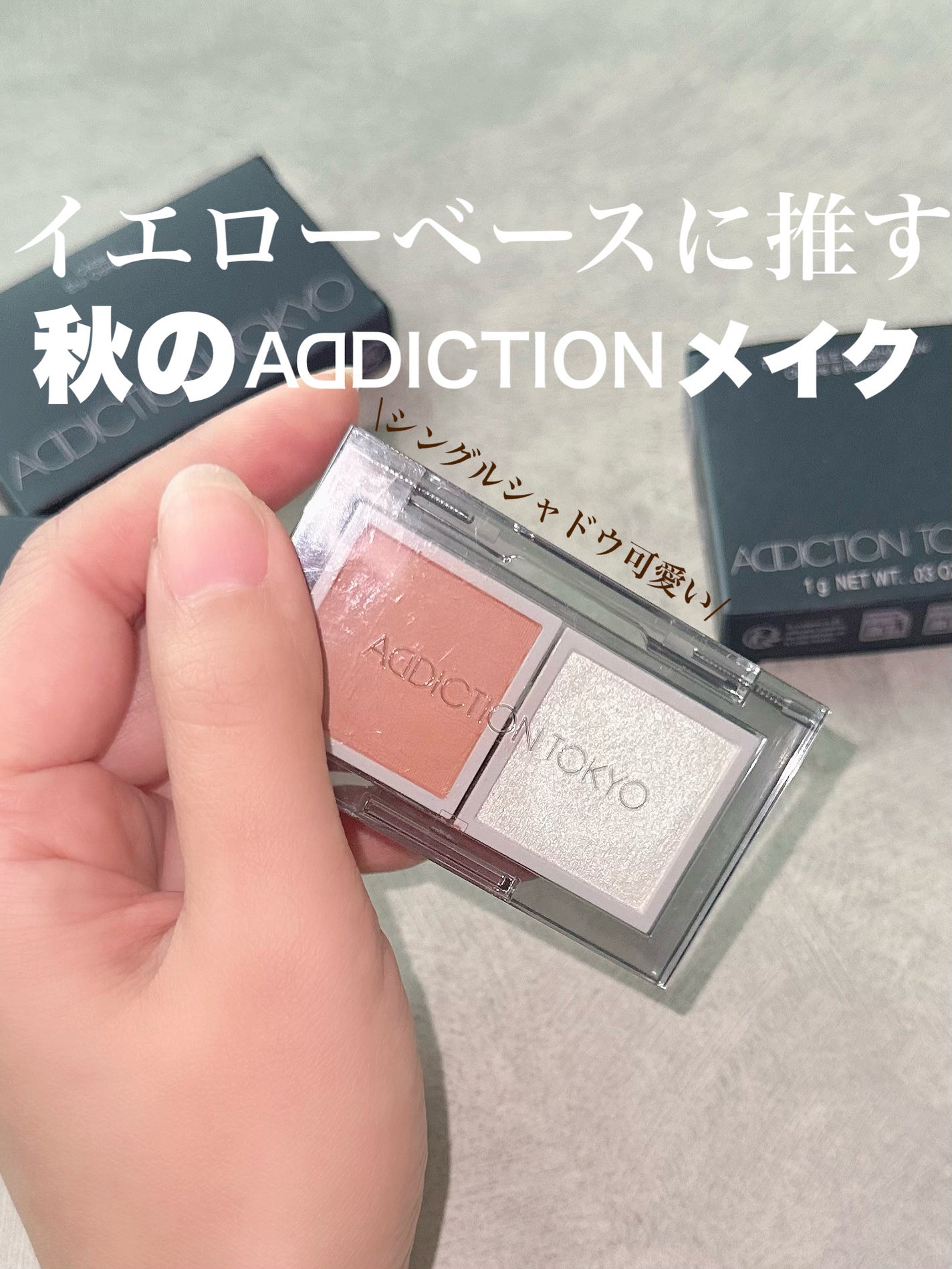 アディクション ザ シングル アイシャドウ マット/ADDICTION/単色アイシャドウを使ったクチコミ(1枚目)