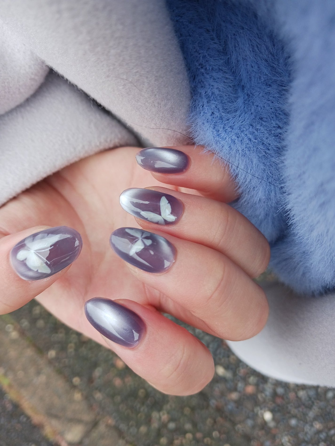 rikonikopooh フォロバ on LIPS 「🦋Sheinのバタフライシールを二層のマグネットジェルの間に埋..」(3枚目)