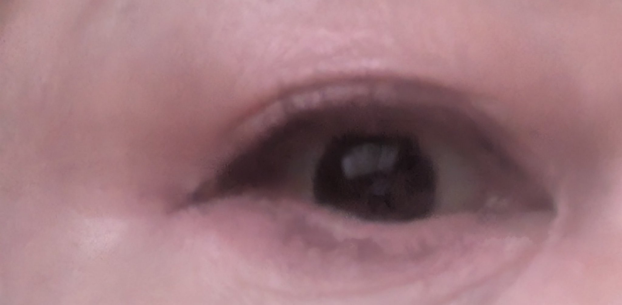 ラッシュエキスパンダー ロングロングロング EX/MAJOLICA MAJORCA/マスカラを使ったクチコミ（2枚目）