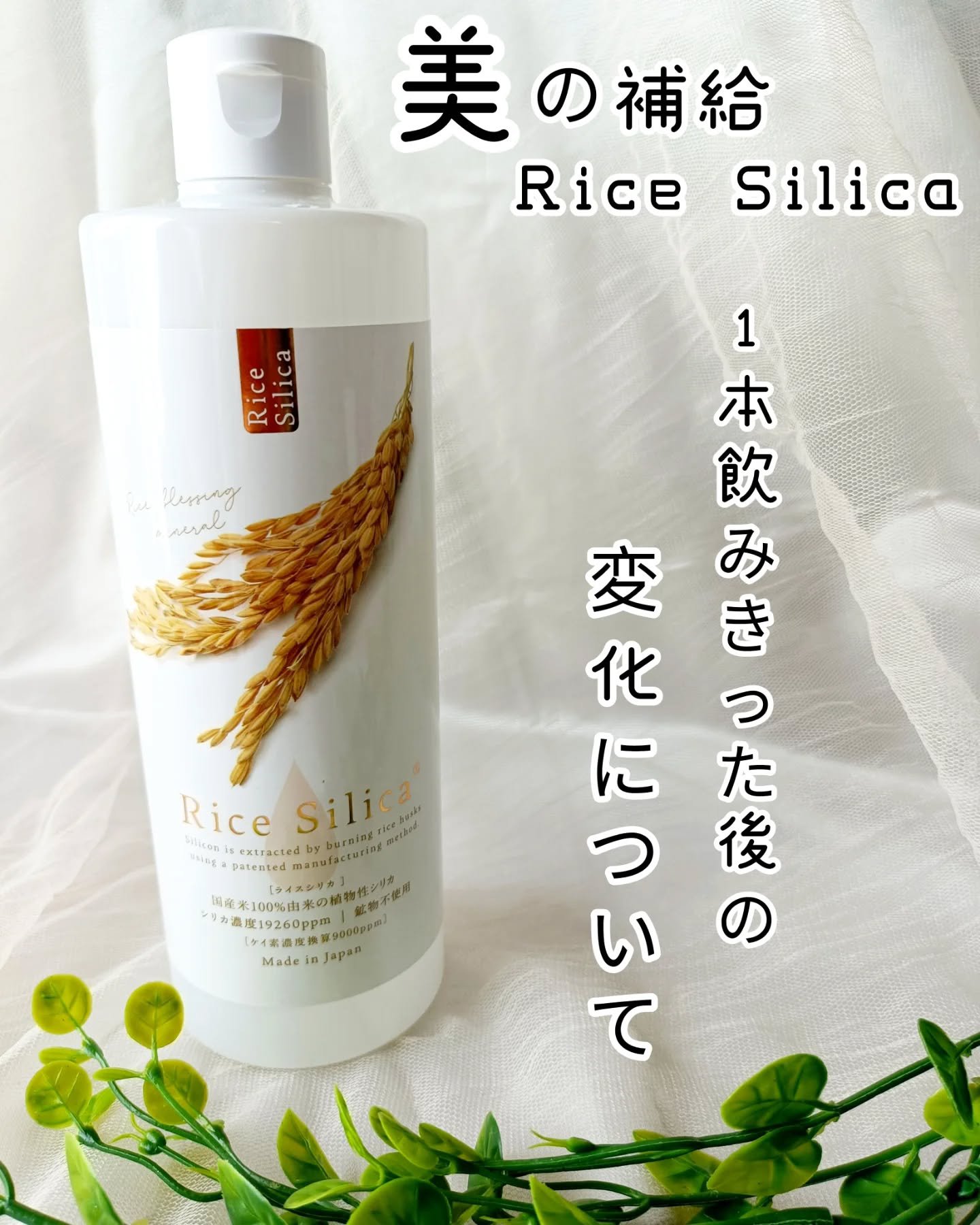 \1本飲みきった後の変化について🌾/
 @silicanoaruseikatsu のライスシリカ シリカ濃縮液を1ヶ月ほど前に投稿しましたが
1本飲みきったのでその後の変化についてのレポです📖´-
*
シリカは身体にとって大切な成分です