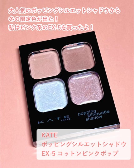 ケイト ポッピングシルエットシャドウ/KATE/アイシャドウパレットを使ったクチコミ(2枚目)