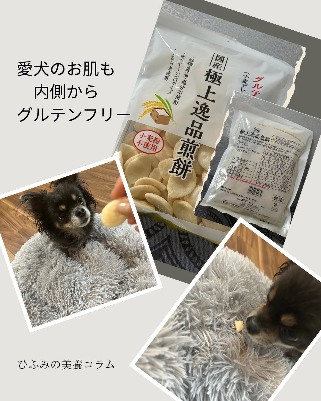 ひふみレイキ💫フォロバ♾️ on LIPS 「🐾ひふみの美養コラムわんこのお菓子もグルテンフリーに🐶✨夫が買..」(1枚目)
