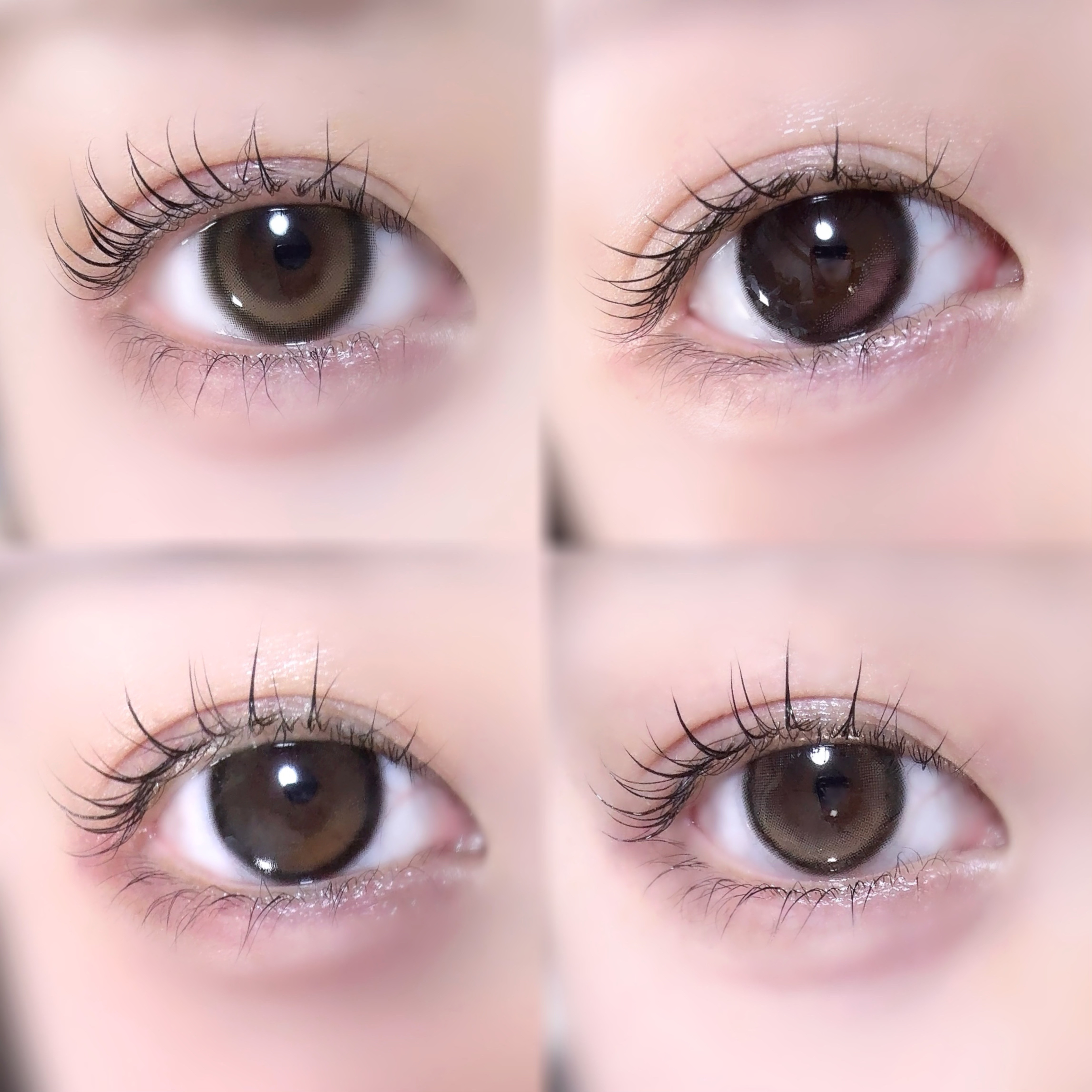 LilMe 1day Dreamy Bear(ドリーミーベア)/LilMe/ワンデー（１DAY）カラコンを使ったクチコミ（1枚目）