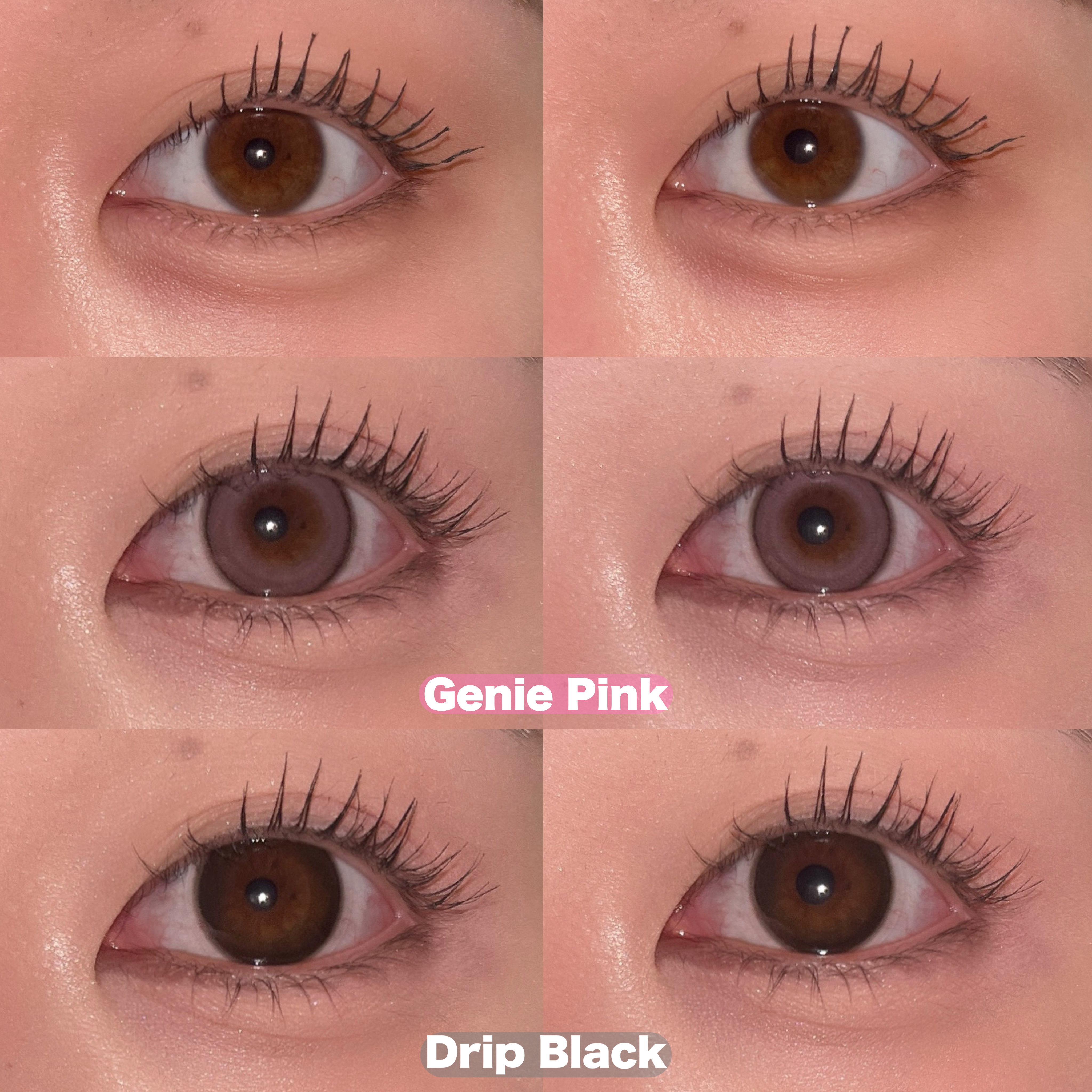 a-eye 1day/Refrear/ワンデー（１DAY）カラコンを使ったクチコミ（3枚目）