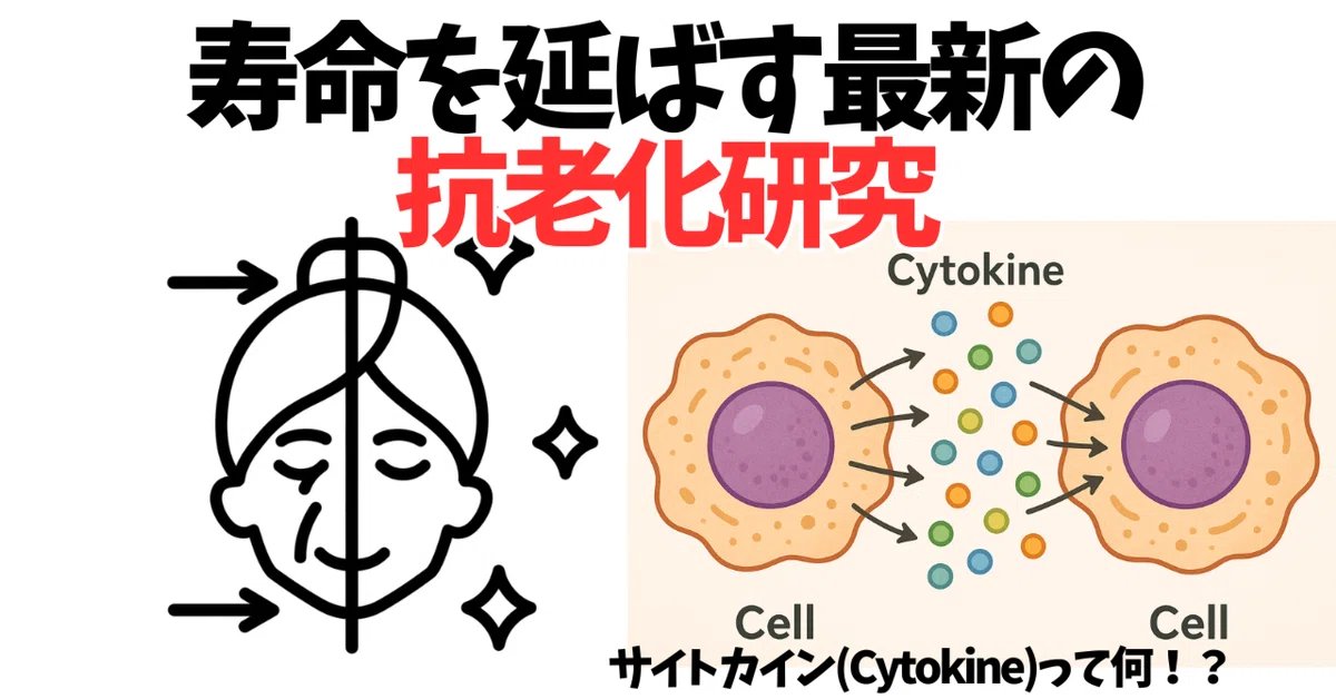老化を抑える研究が現実味を帯びてきています。近年、炎症を引き起こす物質「IL-11」を抑えるとマウスの寿命が延びたという結果が出たそう。年をとると体のあちこちで炎症が起き、これが実は老化そのものを進めていたのです。炎症と老化は切っても切れな