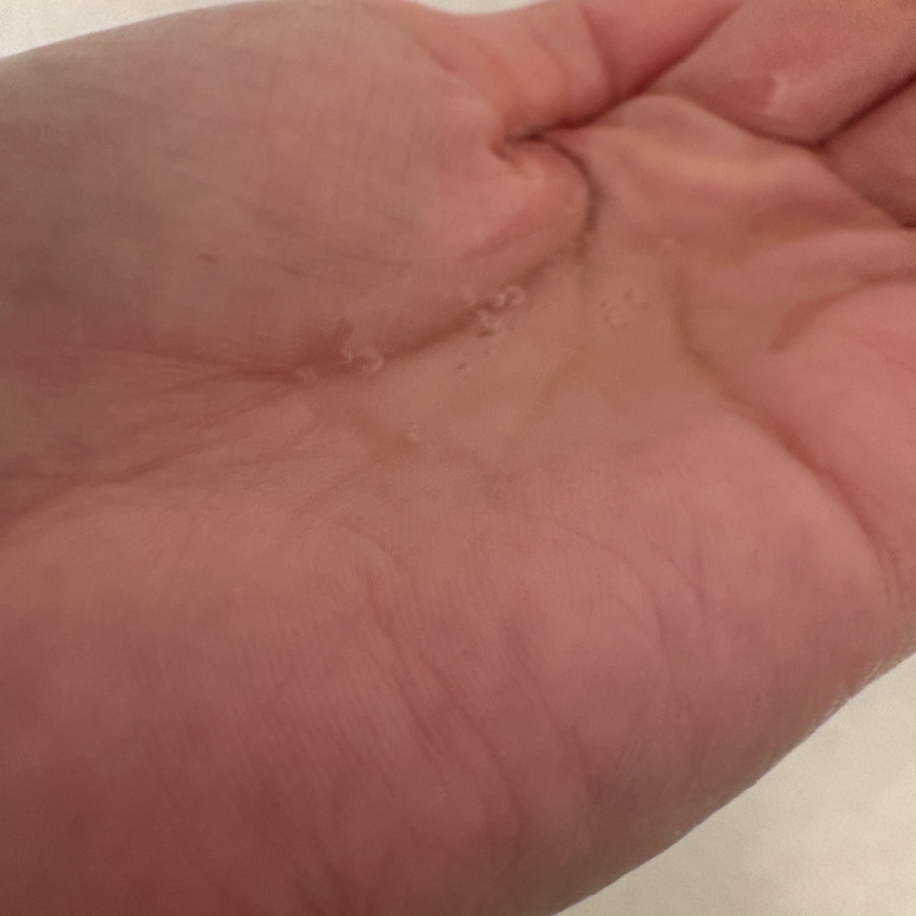 クリーミーメルトパウダー/melt/市販シャンプーを使ったクチコミ（3枚目）