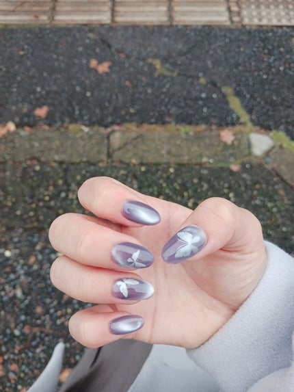 rikonikopooh フォロバ on LIPS 「🦋Sheinのバタフライシールを二層のマグネットジェルの間に埋..」(4枚目)