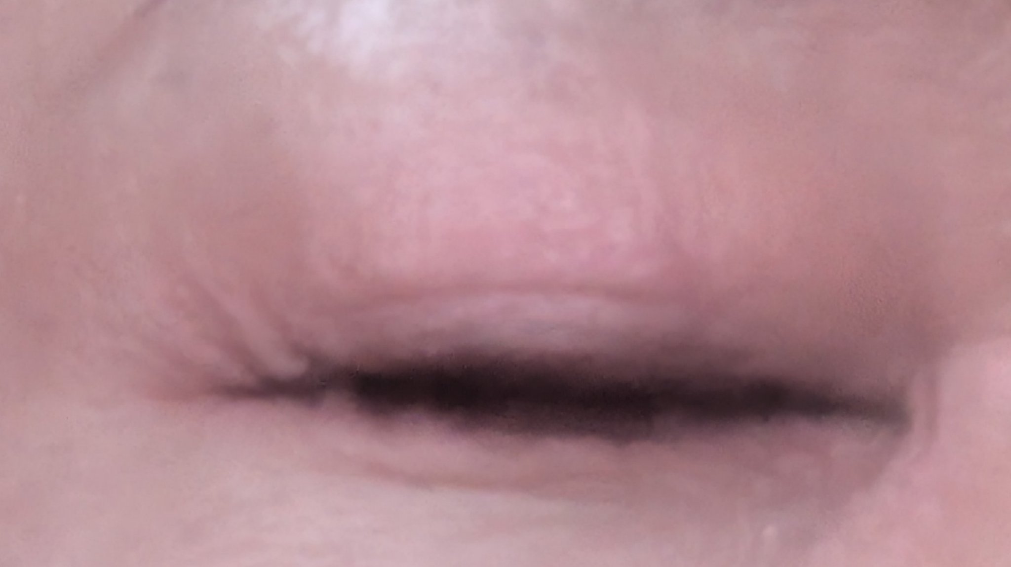 ラッシュエキスパンダー ロングロングロング EX/MAJOLICA MAJORCA/マスカラを使ったクチコミ（3枚目）