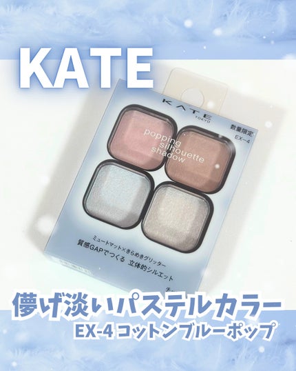 ケイト ポッピングシルエットシャドウ/KATE/アイシャドウパレットを使ったクチコミ(1枚目)