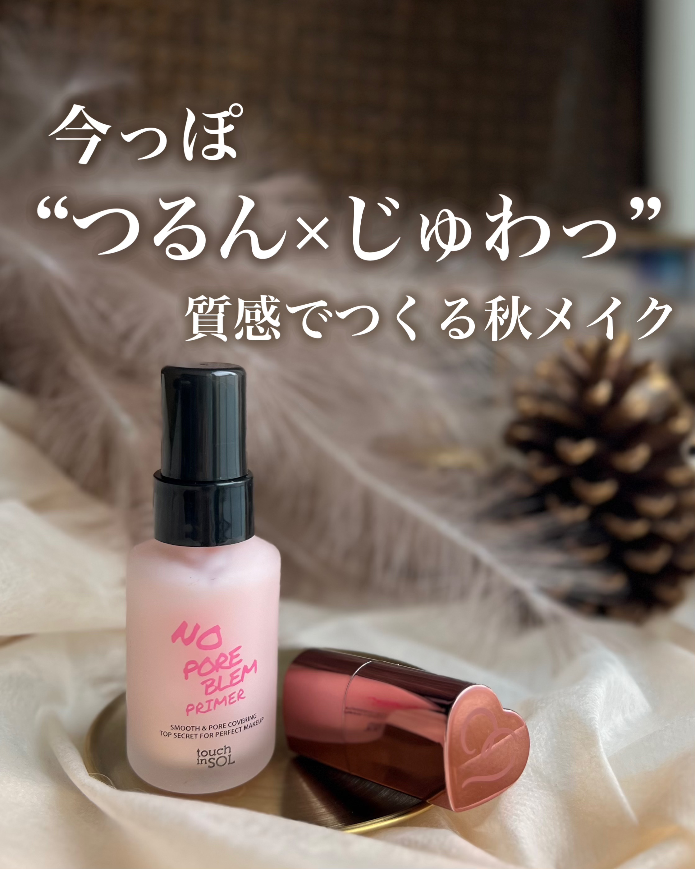 タッチインソール ノーポアブレムプライマー/touch in SOL /化粧下地を使ったクチコミ（1枚目）