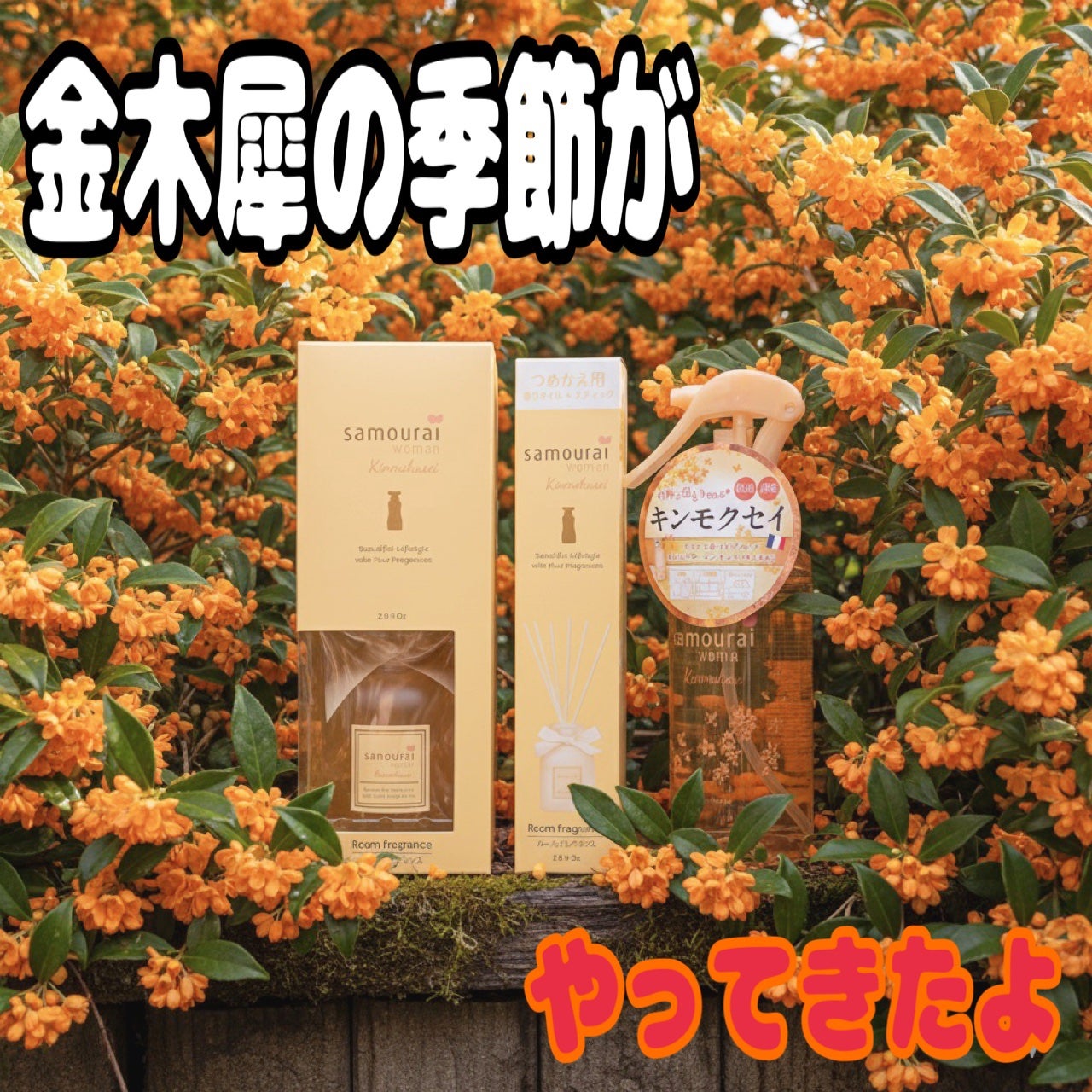 サムライウーマン キンモクセイ ファブリックミスト/サムライウーマン/ファブリックミストを使ったクチコミ(1枚目)