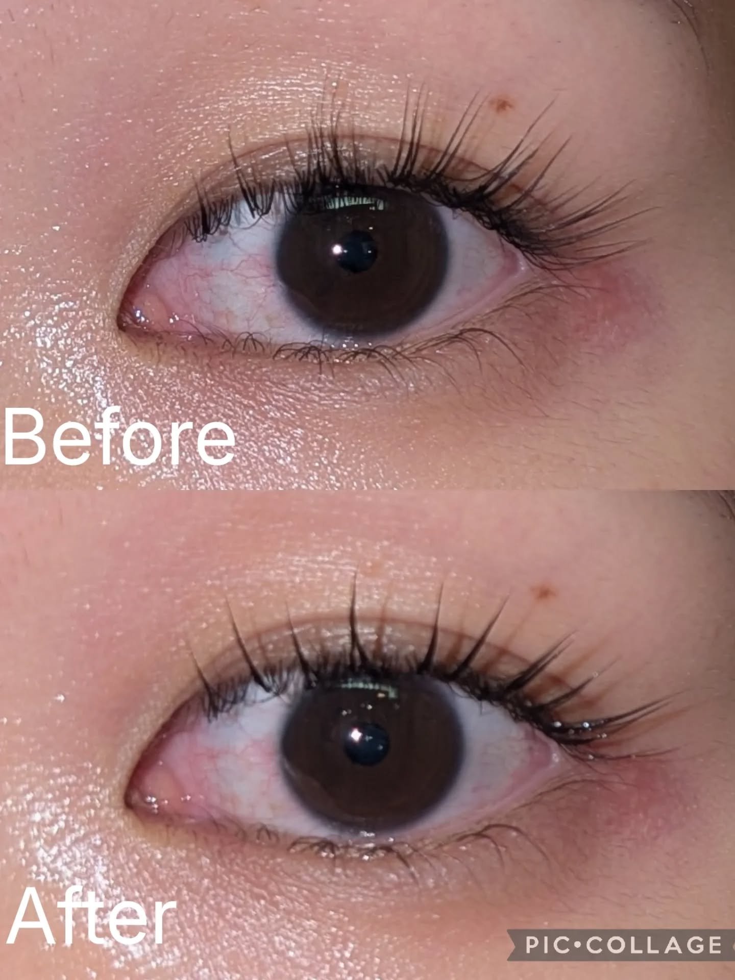 アイラッシュコーティングセラム/COSNORI/まつげ美容液を使ったクチコミ（3枚目）