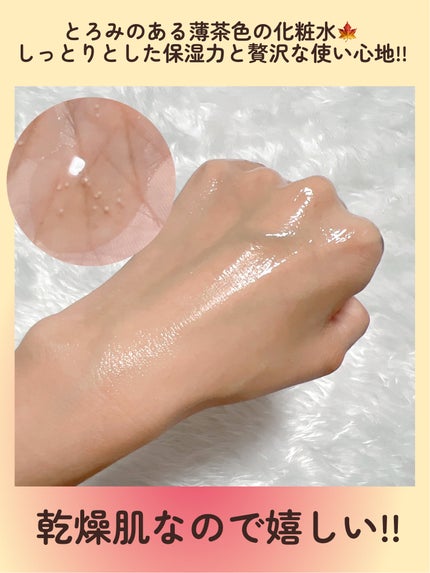 Pressed Serum Tundra chaga/BLITHE/美容液を使ったクチコミ(4枚目)