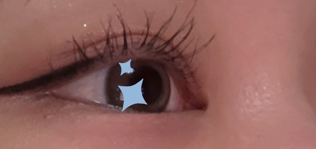 ウルトラ WP マスカラ(ボリューム) 01 ブラック/FASIO/マスカラを使ったクチコミ（2枚目）