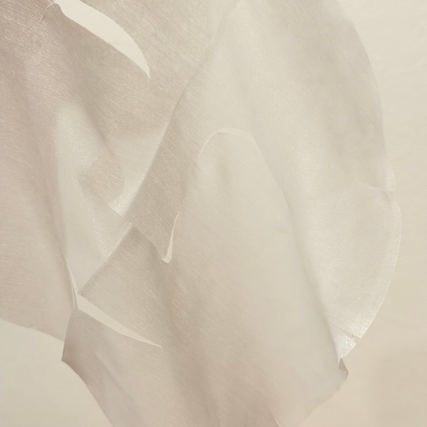 ハトムギ メイク前マスク/ナチュリエ/シートマスク・パックを使ったクチコミ(3枚目)