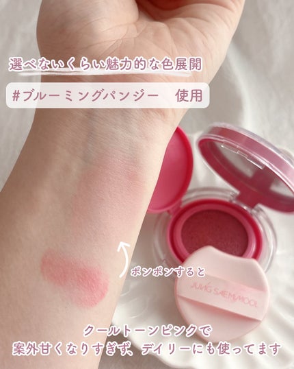 アーティストクッションブラッシュ/JUNG SAEM MOOL/リキッドチークを使ったクチコミ(5枚目)