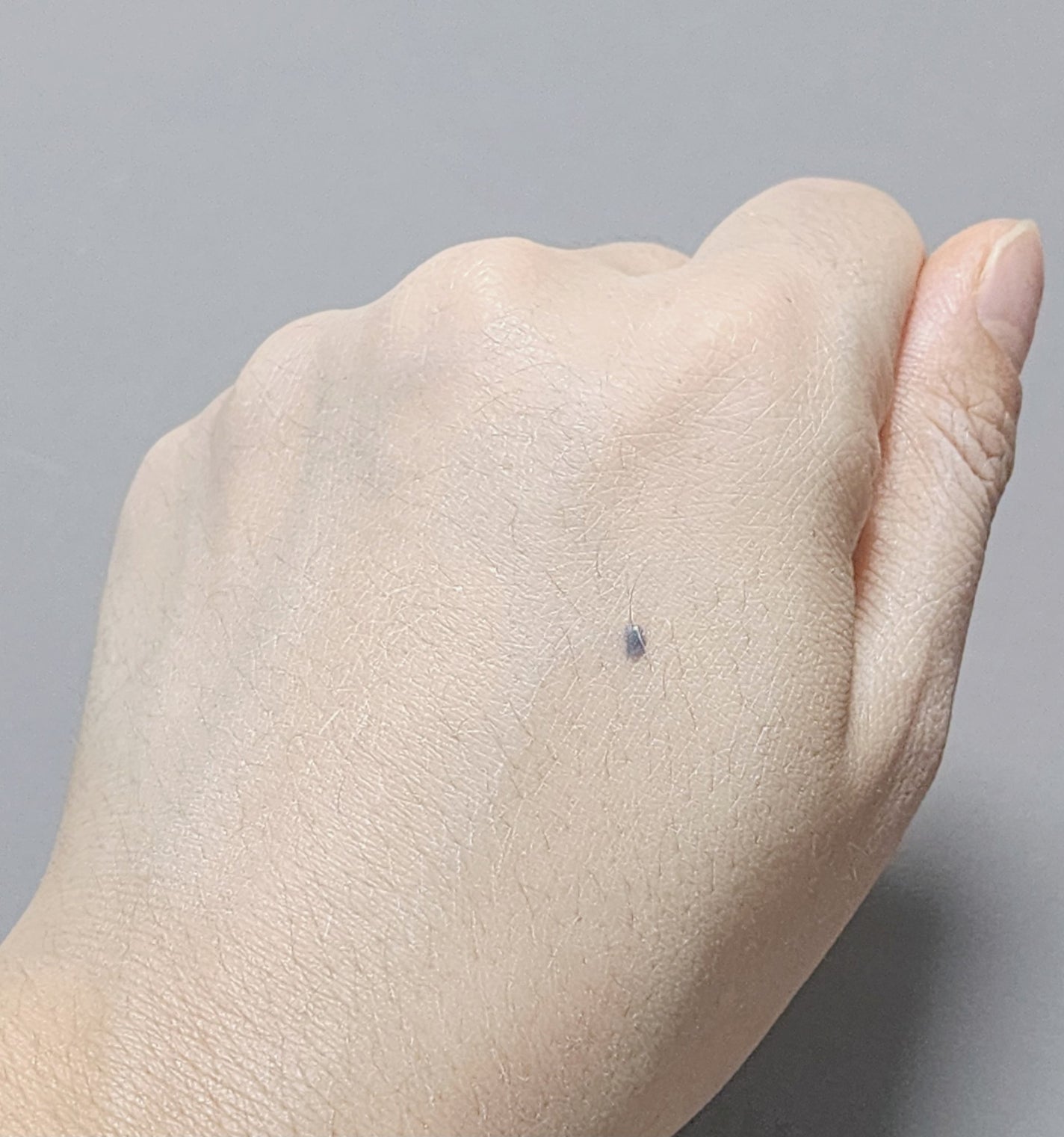 オールアバウトグロウトーンアップクリーム/CHASIN'RABBITS/化粧下地を使ったクチコミ(4枚目)