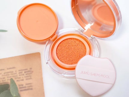 アーティストクッションブラッシュ/JUNG SAEM MOOL/リキッドチークを使ったクチコミ(2枚目)