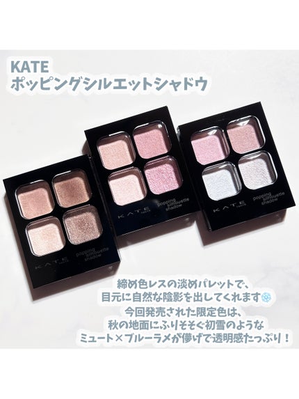 ケイト ポッピングシルエットシャドウ/KATE/アイシャドウパレットを使ったクチコミ(2枚目)