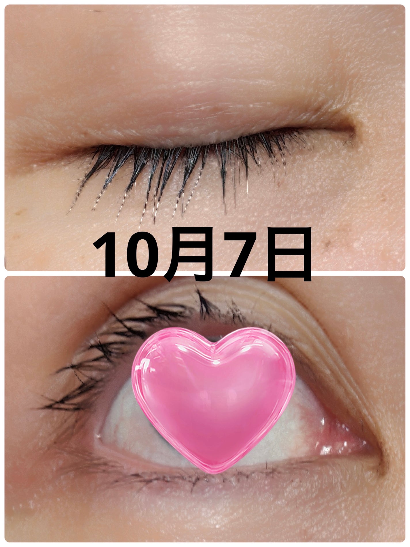 ラッシュジェリードロップ EX プレミアム/MAJOLICA MAJORCA/まつげ美容液を使ったクチコミ(6枚目)