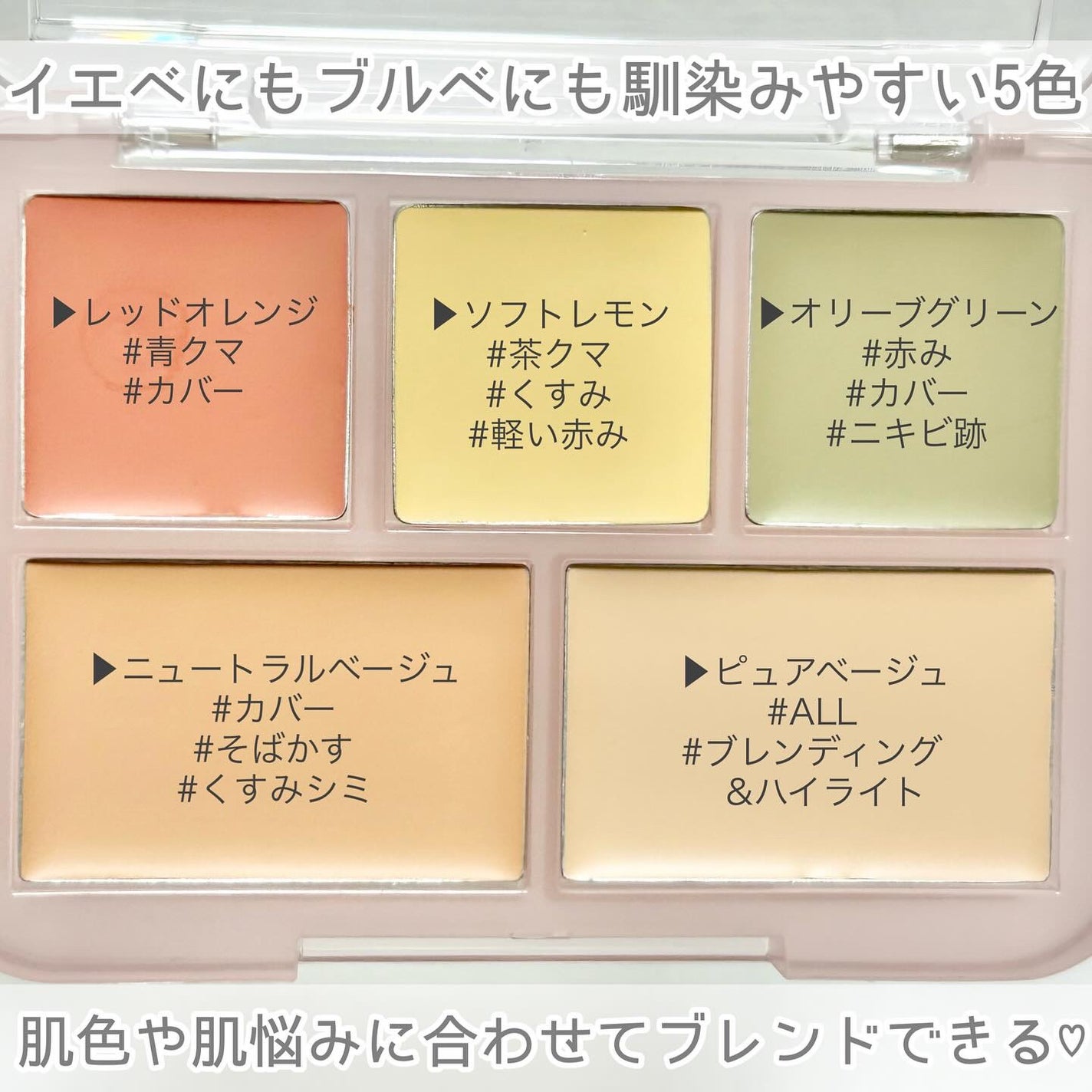 コンシールブレンダーパレット/LUNA/パレットコンシーラーを使ったクチコミ(3枚目)