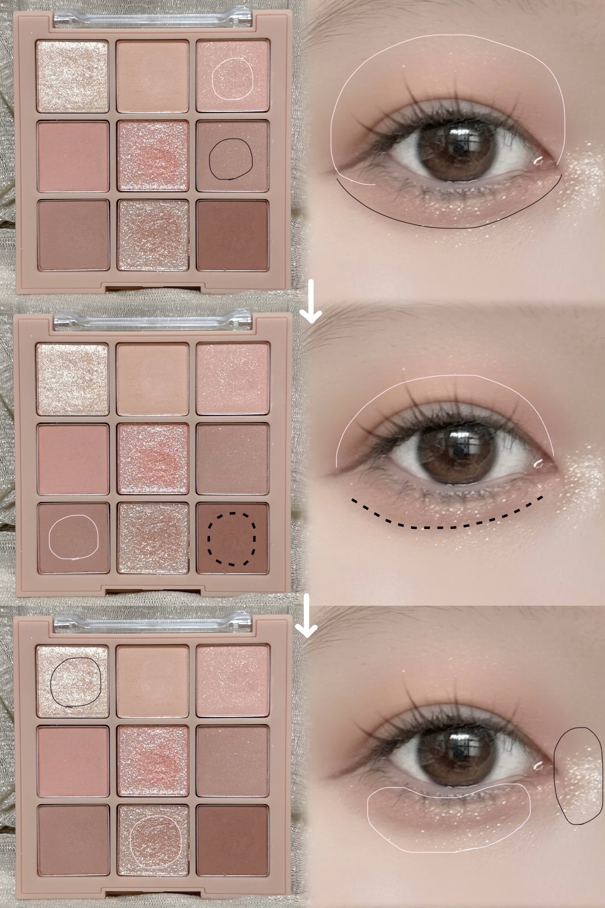 シャドウパレット 05 サンセットミューリー/dasique/アイシャドウパレットを使ったクチコミ（2枚目）