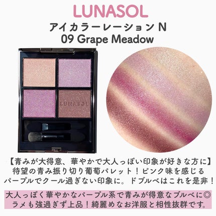 ルナソル アイカラーレーションN/LUNASOL/アイシャドウパレットを使ったクチコミ(2枚目)