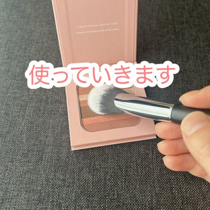 コントゥア デザイニング パウダー/ブリリアージュ/シェーディングを使ったクチコミ(3枚目)