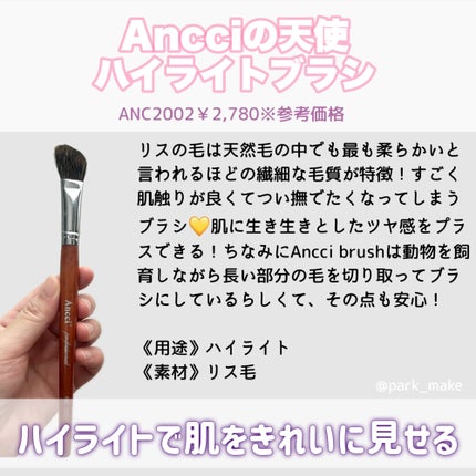 Ebony 03/Ancci brush/メイクブラシを使ったクチコミ(6枚目)