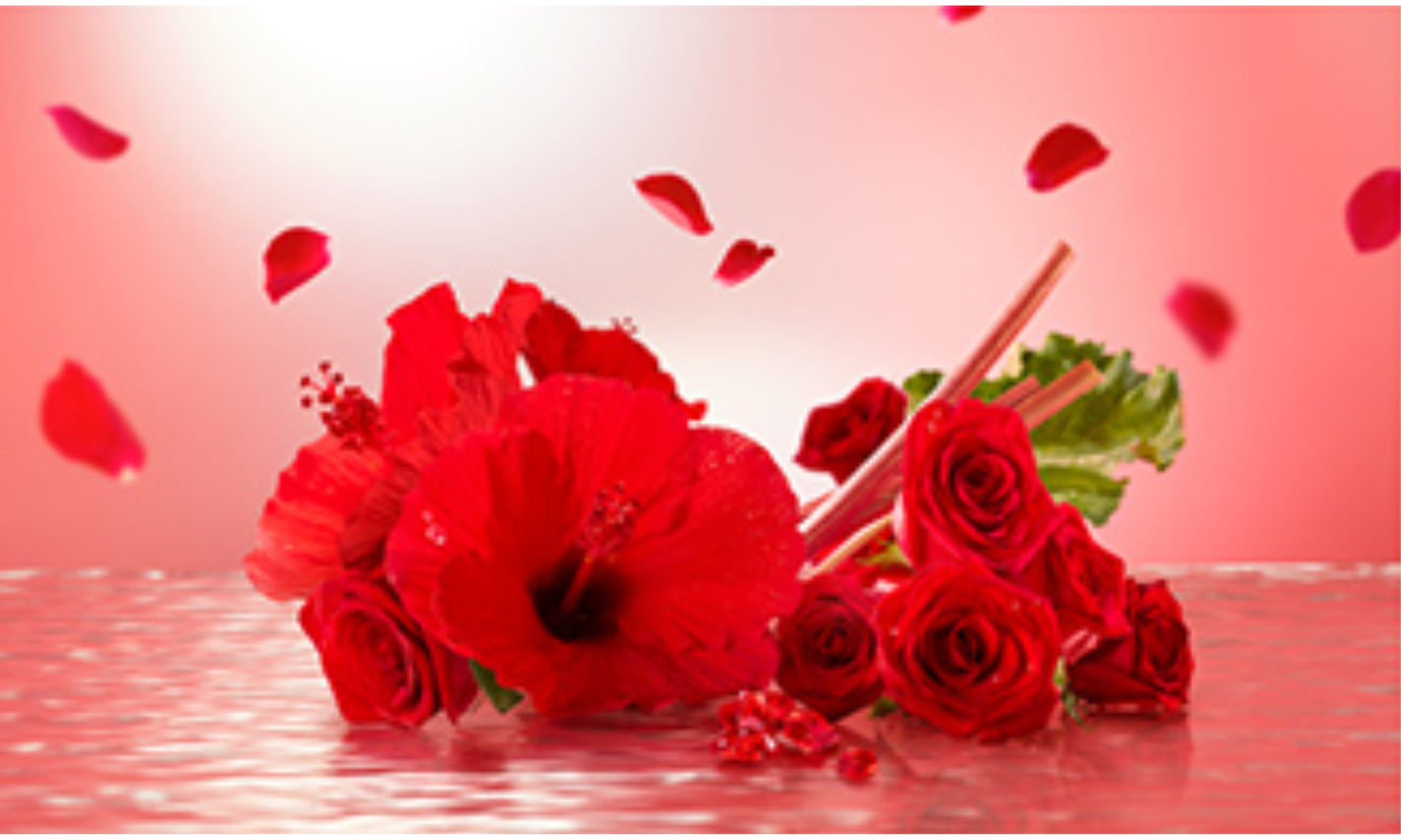 ReFaから新作フレグランスの香りのハンドクリームが登場の画像