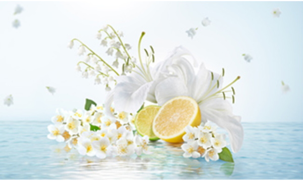 ReFaから新作フレグランスの香りのハンドクリームが登場の画像