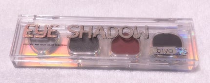 サイバーパンク アイシャドウ ディスク/BIYA/アイシャドウパレットを使ったクチコミ(1枚目)