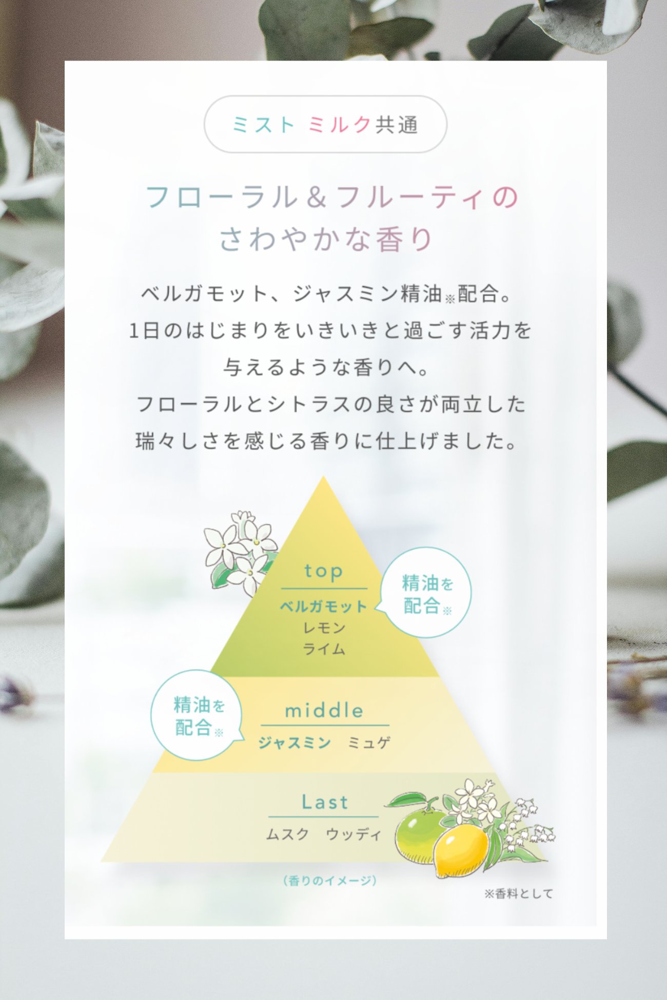 ラサーナ 海藻 ヘア セラム ミスト/ラサーナ/ヘアミストを使ったクチコミ（2枚目）