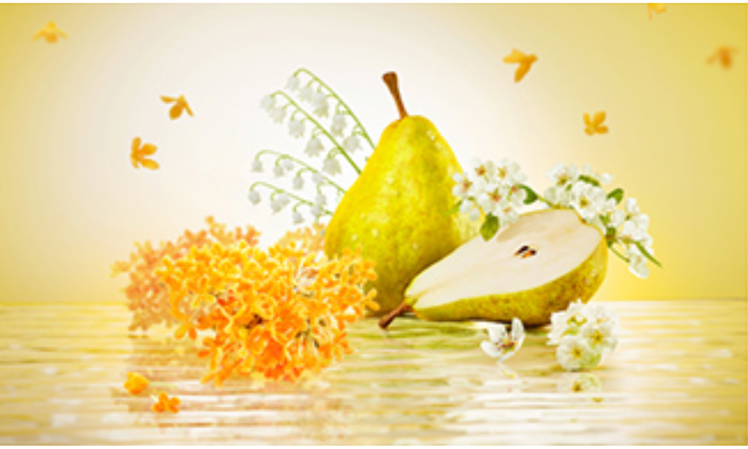 ReFaから新作フレグランスの香りのハンドクリームが登場の画像