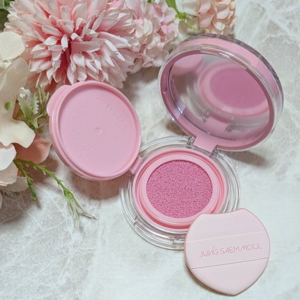 アーティストクッションブラッシュ/JUNG SAEM MOOL/リキッドチークを使ったクチコミ(4枚目)