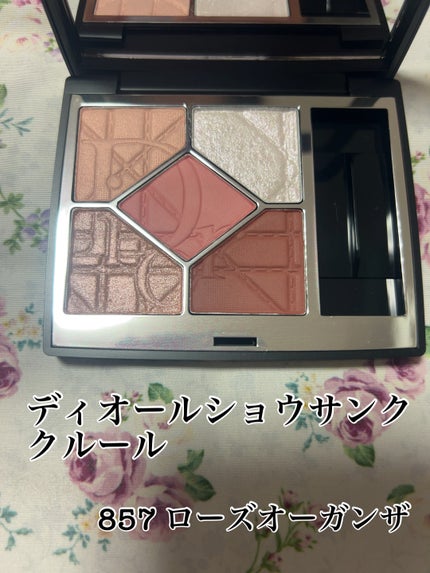 ディオールショウ サンク クルール(限定品)/Dior/アイシャドウを使ったクチコミ(1枚目)